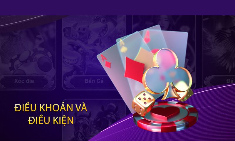 Các nội dung chính trong Điều khoản và điều kiện ea888